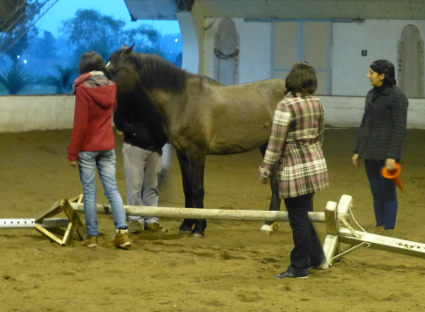 Teamwork activity, compliments of Lynn Baskfield, my teacher and friend