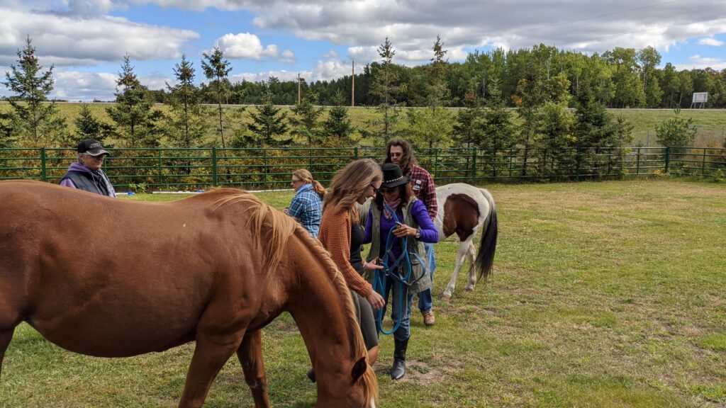 whenthehaltercomesoff resized1